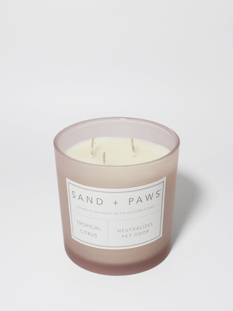 Sand + Paws Tropical Citrus 21 oz scented candle