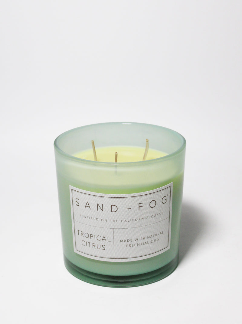Tropical Citrus 21 oz scented candle
